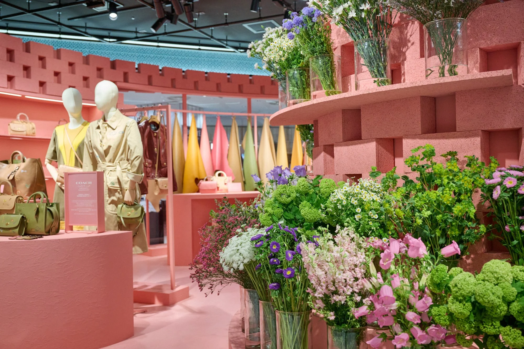 COACH | Holiday 2023 Best of — HAN